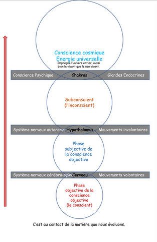 liens corps vers conscience cosmique