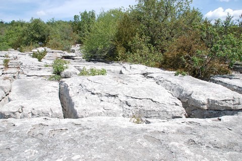 Ensemble de Dolmen St Alban Auriolles